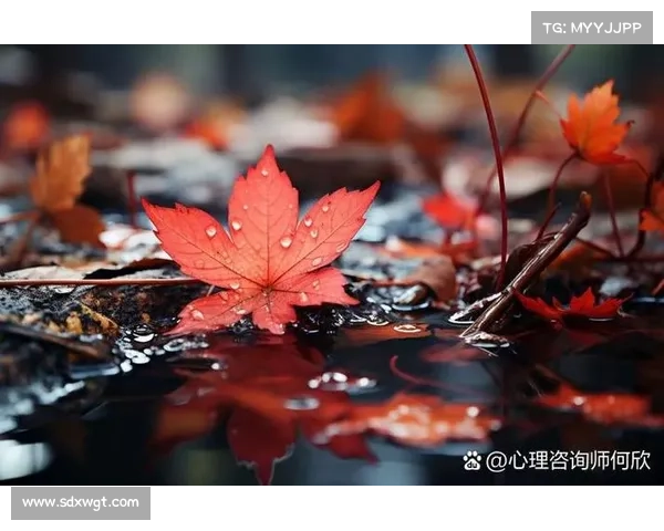 通过爱与理解化解冲突提升亲密关系的实用技巧 通过爱与理解化解冲突提升亲密关系的实用技巧